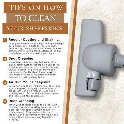 Real Sheepskin Rug Natural White - Size 2 x 3' Lambswool